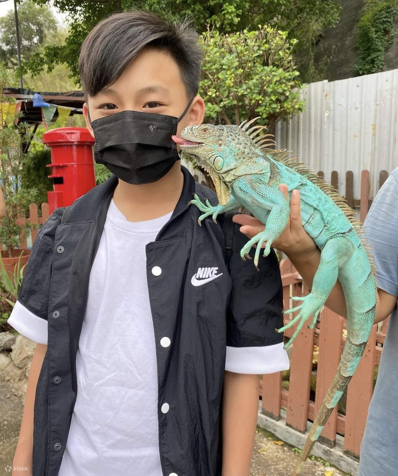 Actividades para niños - Granja Bunny Wonderland | Yuen Long